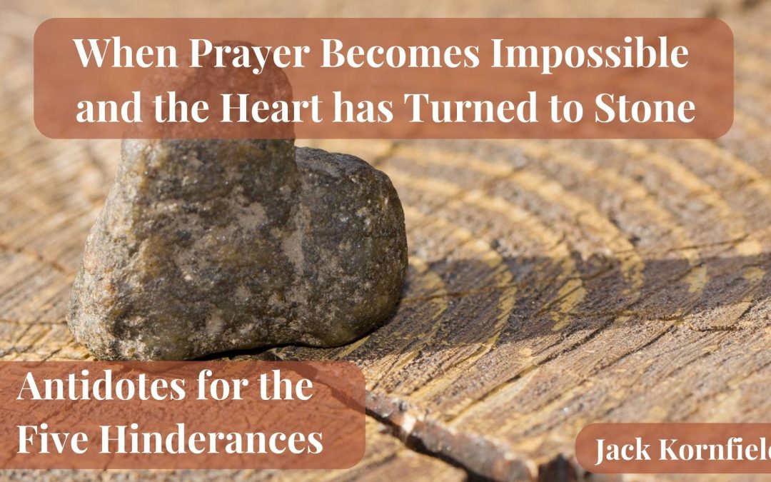 當祈禱變得不可能而心已變成石頭時：五蓋的解藥